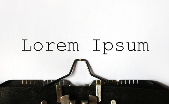 loren inspum dollar test blog